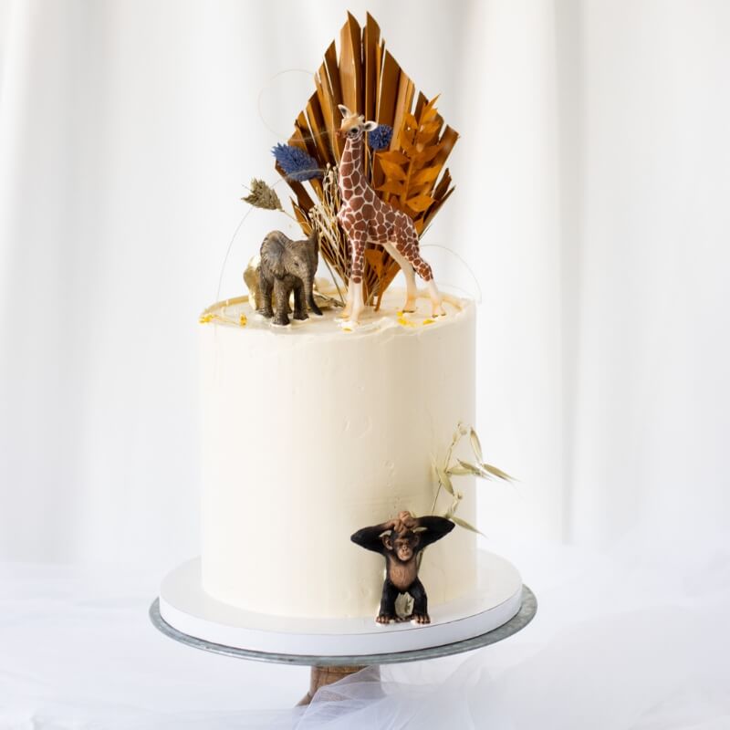 Birthday Cake Safari - AlexArts